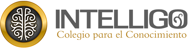 Intelligo Logo